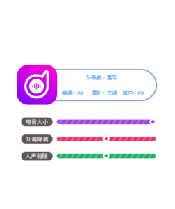 电音助手pro新版